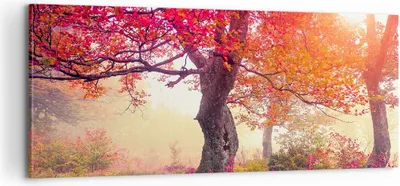 Produktbild von Bild auf Leinwand - Leinwandbild - Baum Natur Wiese - 100x40cm - Wand Bild - Wanddeko - Wandbilder - Leinwanddruck - Bilder - Kunstdruck - Wanddekoration - Leinwand bilder - Wandkunst - AB100x40-3658