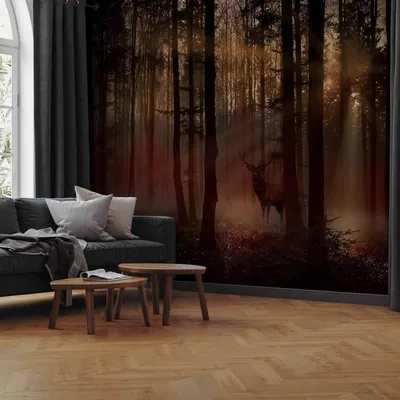 Produktbild von Vlies Fototapete - Mystical Forest - First Variant 250x175 cm Landschaften c-C-0431-a-b