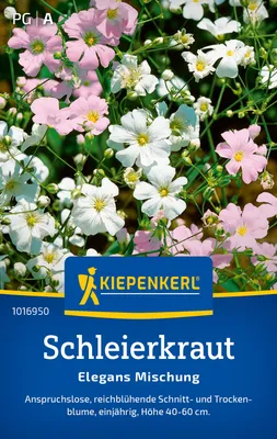 Produktbild von Kiepenkerl Schleierkrautsamen Elegans 120 Pflanzen
