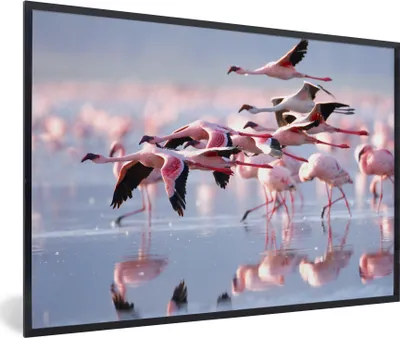 Produktbild von MuchoWow® MuchoWow® Gerahmtes Poster Rosa Flamingos auf dem Wasser 90x60 cm - Poster mit zchwarzem Bilderrahmen - Fotorahmen - Foto-Plakat