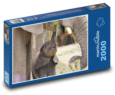 Zdjęcie produktu dla Puzzle 2000 Słoniątko z matką - martinpuzzle