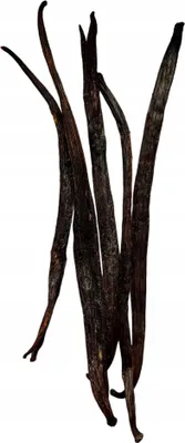Obrázok produktu pre EXKLUZÍVNE VANILLA POD 5 ks 16-22 cm Vanilková tyčinka, kryštáliky z vanilkových strukov na vanilkových strukoch, mráz
