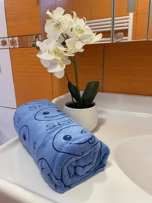 Obrázok produktu pre Rýchloschnúca osuška Smile 70x140 cm modrá
