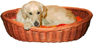 Produktbild von TRIXIE 28078, Korb Haustierbett, Drinnen, Hund, Braun, Rund, 1200 mm