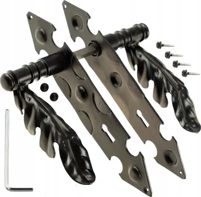 Produktbild von Türgriff Türbeschlag Haustürgriff FEINZ Liest - 90 mm - Schwarz - Robuste Schmiedekunst - Elegantes Design - Hohe Sicherheit
