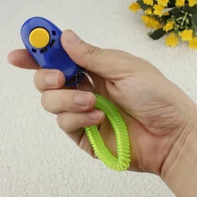 Hund und Katze Clicker Trainingsset für effektives Hundetraining mit Handgelenkband und Anleitung