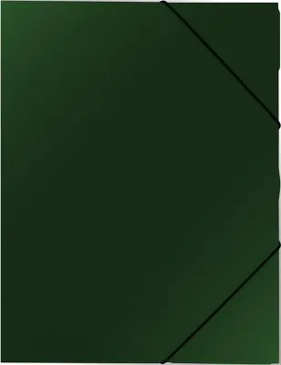 Image de Carton P+P Chemise PP avec gomme A4 Classic vert 2-535