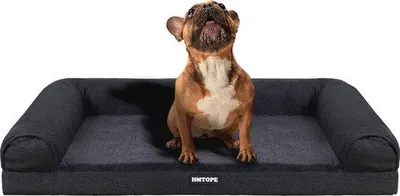 Image de Lit pour chiens de grande et moyenne taille - amovible et lavable