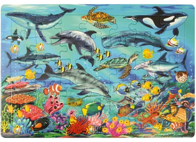 Image de Mer des puzzles