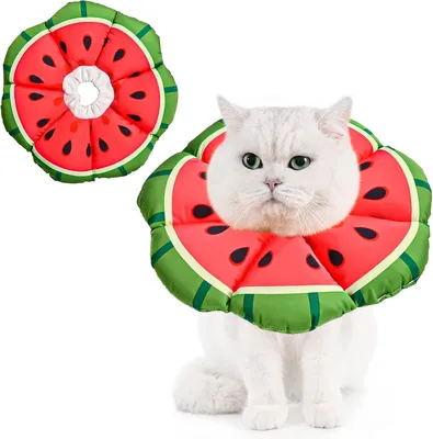 Productafbeelding van Verstelbare halsband voor katten, maat S (15-25 cm), geschikt voor bescherming na een operatie, voor katten tot 3 kg