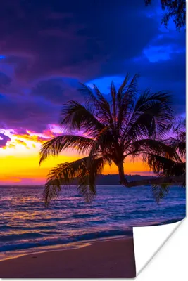 Produktbild von MuchoWow® Poster Palme - Lila - Sonnenuntergang - Strand - Meer 120x180 cm - Kunstposter