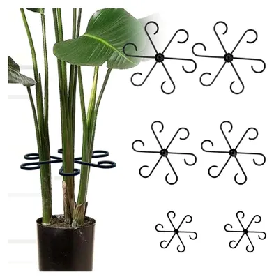 Produktbild von 12 Stück Pflanzenhalter für Stauden, Pflanzenstielhalter, Pflanzenstütze für Monstera Kletterständer und Alocasia, Tomate, Hortensie