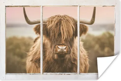 Produktbild von MuchoWow® Poster Schottischer Highlander - Blick - Meer 90x60 cm - Schlafzimmer