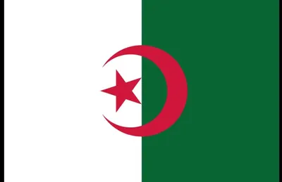 Productafbeelding van Vlag Algerije - Nationale Vlag - Buiten Decoratie - Gouden Oogjes - 150 x 90 cm - Groen