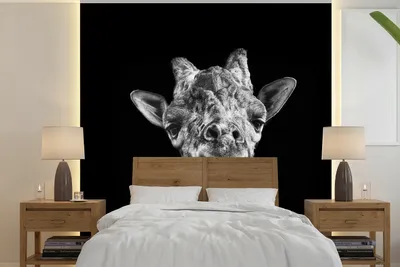 Produktbild von MuchoWow® Fototapete für Wohnzimmer oder Schlafzimmer Wandtapete Vinyl Motivtapete Giraffe vor schwarzem Hintergrund in schwarz und weiß - 240x240 cm - Schlafzimmer-Tapete