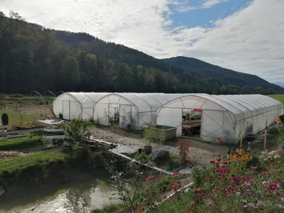 Obrázek produktu pro Skleník 6×20 m – profesionální fóliovník s boční ventilací, 2 dveřmi, UV fólií a zesílenou konstrukcí