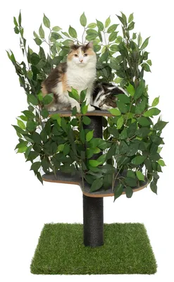 Immagine prodotto di Albero multifunzionale per gatti con elementi rimovibili