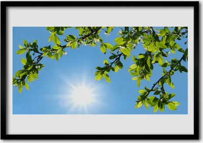 Produktbild von Bild 100x70 MDF-Rahmen Wandkunst Sonne Natur