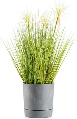 Image de HowHomely | Bac à plantes Azalea - 17,5 cm - Gris - Pots de fleurs - Résistant aux intempéries, Design minimaliste