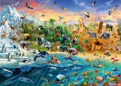 Image de 1000 pièces Schmidt Spiele Puzzle Le monde des animaux 58324