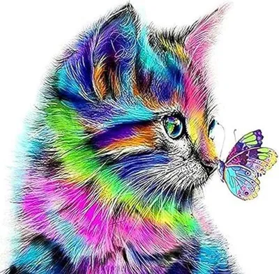 Produktbild von Famanu Malen nach Zahlen Set für Anfänger - Tiere, Katzen und Schmetterling 40 x 50 cm