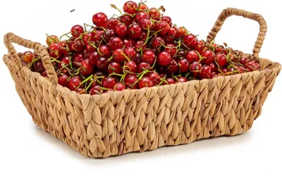 Image de Panier décoratif avec anses en jacinthe d'eau, 40 x 29 cm