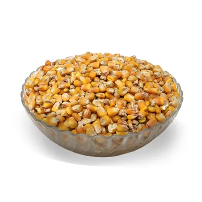 Futtermais 10 kg