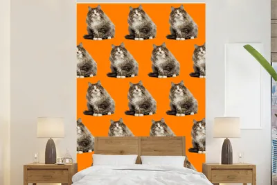 Produktbild von MuchoWow® Fototapete für Wohnzimmer oder Schlafzimmer Wandtapete Vinyl Motivtapete Tiere - Orange - Muster - 195x300 cm - Das Hintergrundbild