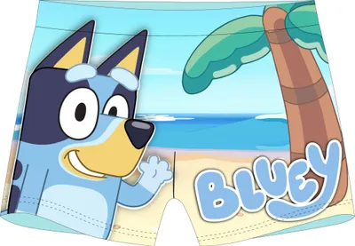 Obrázek produktu pro Dětské plavky/kraťasy Bluey Palm, velikost 92/98 cm