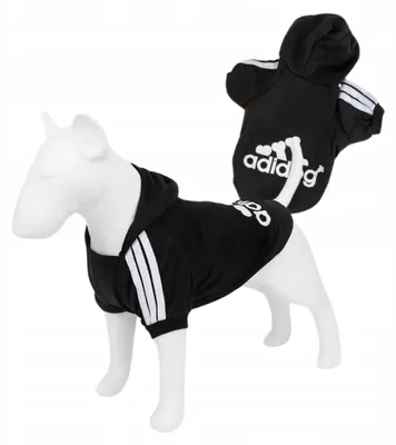 Produktbild von Petinio Adidog Hunde Hoodie Schwarz XL