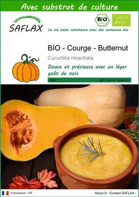 Image de SAFLAX  -- Courge - Butternut - 6 graines - Avec substrat - Cucurbita