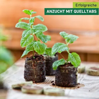 Produktbild von Quelltabletten aus Kokos für Anzucht, 50 Stück