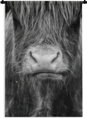 Produktbild von MuchoWow® Wandteppich Wandbehang Schottischer Highlander - Kuh - Schwarz - Weiß - Tiere 90x135 cm Tapisserie Dekoration Wandtuch - Baumwolle - Wandskulptur