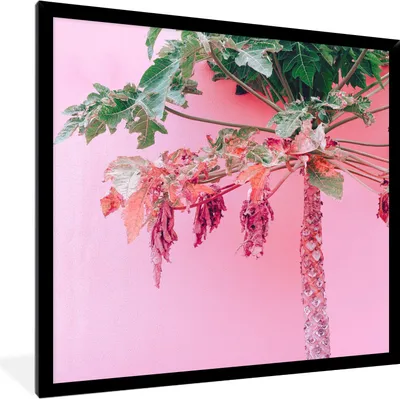 Produktbild von MuchoWow® Gerahmtes Poster Palme - Tropisch - Rosa - Sommer 40x40 cm - Poster mit Schwarzem Bilderrahmen Wandposter Rahmen Foto Bilder - Mit Rahmen - Wanddekoration Schlafzimmer