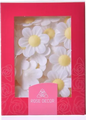 Produktbild von Weißes Waffelvergissmeinnicht Weiß 70 Stück Blume