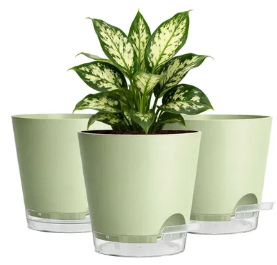 Produktbild von Blumentöpfe mit Selbstbewässerung 15cm Salbeigrün 3er Set Kunststoff mit Bewässerungskern