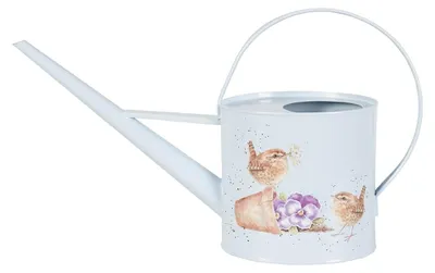 Productafbeelding van Mooie gieter voor planten met een lange tuit