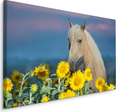 Produktbild von Fabelhafte Canvas LEINWAND BILDER 100x70 cm XXL Kunstdruck Tiere Pferd Sonnenblumen
