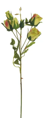 Kunstseidenrosen, 12 Zweige, je 6 Rosen, 46 cm, Grün
