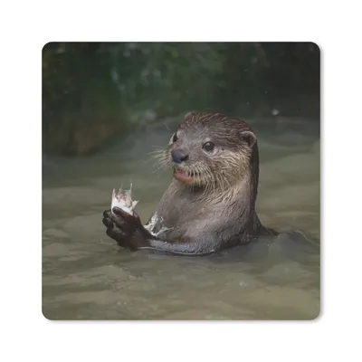 Produktbild von MuchoWow® Mauspad Mousepad Otter mit Futter im Wasser 20x20 cm - Mousepads - Maus Mat - Pad - Mausunterlage - Desk Mat - Bureauartikeln