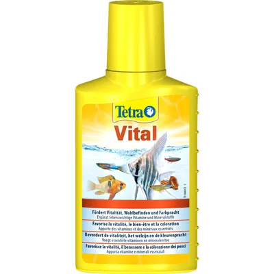 Produktbild von Tetra TetraVital 100 ml