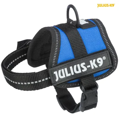 Produktbild von Julius-K9® IDC Powergeschirr®, 3XS / Baby 1: 26–36 cm / 18 mm, blau