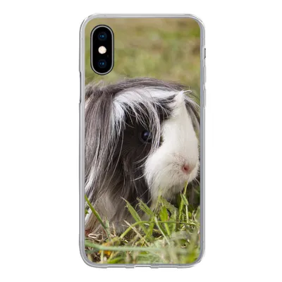 Produktbild von MuchoWow® Handyhülle Schutzhülle Hülle für iPhone X Langhaar-Meerschweinchen Silikon Softcase Handy Hülle - Handyhülle