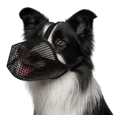 Productafbeelding van Ademend hondenmuilkorf van nylon, verstelbare lekscherm voor grote en middelgrote honden