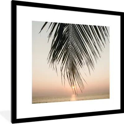 Produktbild von MuchoWow® Gerahmtes Poster Sonne - Palme - Blatt 40x40 cm - Poster mit Schwarzem Bilderrahmen Wandposter Rahmen Foto Bilder - Poster - Plakat im Rahmen