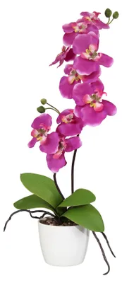 Produktbild von CREATIV green künstliche Orchidee 60cm im Topf 11 cm in pink, künstliche Schmetterlingsorchidee wie echt mit 9 Blüten & 2 Stiele im weißen Keramiktopf