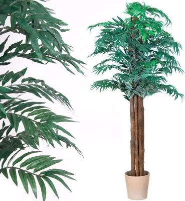 Zdjęcie produktu dla Drzewko sztuczne dekoracyjne - Palma Areka 180 cm