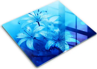 Zdjęcie produktu dla Deska kuchenna – 60 cm x 52 cm - Szklana deska do krojenia - Szkło hartowane – Antypoślizgowa - Błękitne Kwiaty