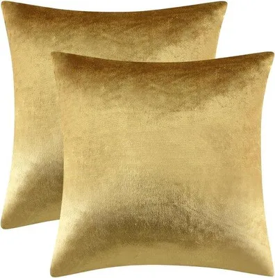 Produktbild von Kissenbezüge, Set aus 2 Samtkissenbezügen, für Sofa/Schlafzimmer/Auto, 60 x 60 cm