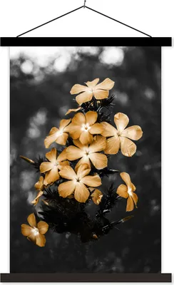 Produktbild von MuchoWow® Textilposter Blumen - Braun - Schwarz - Weiß 120x180 cm mit schwarzem Rahmen - Fotos
